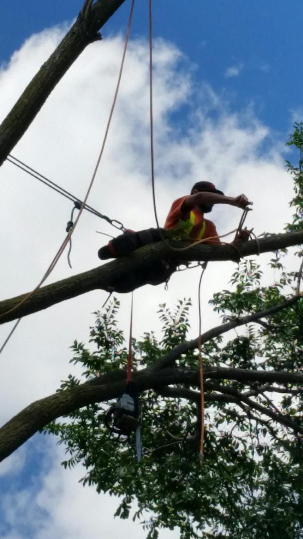 joshua tree contract services